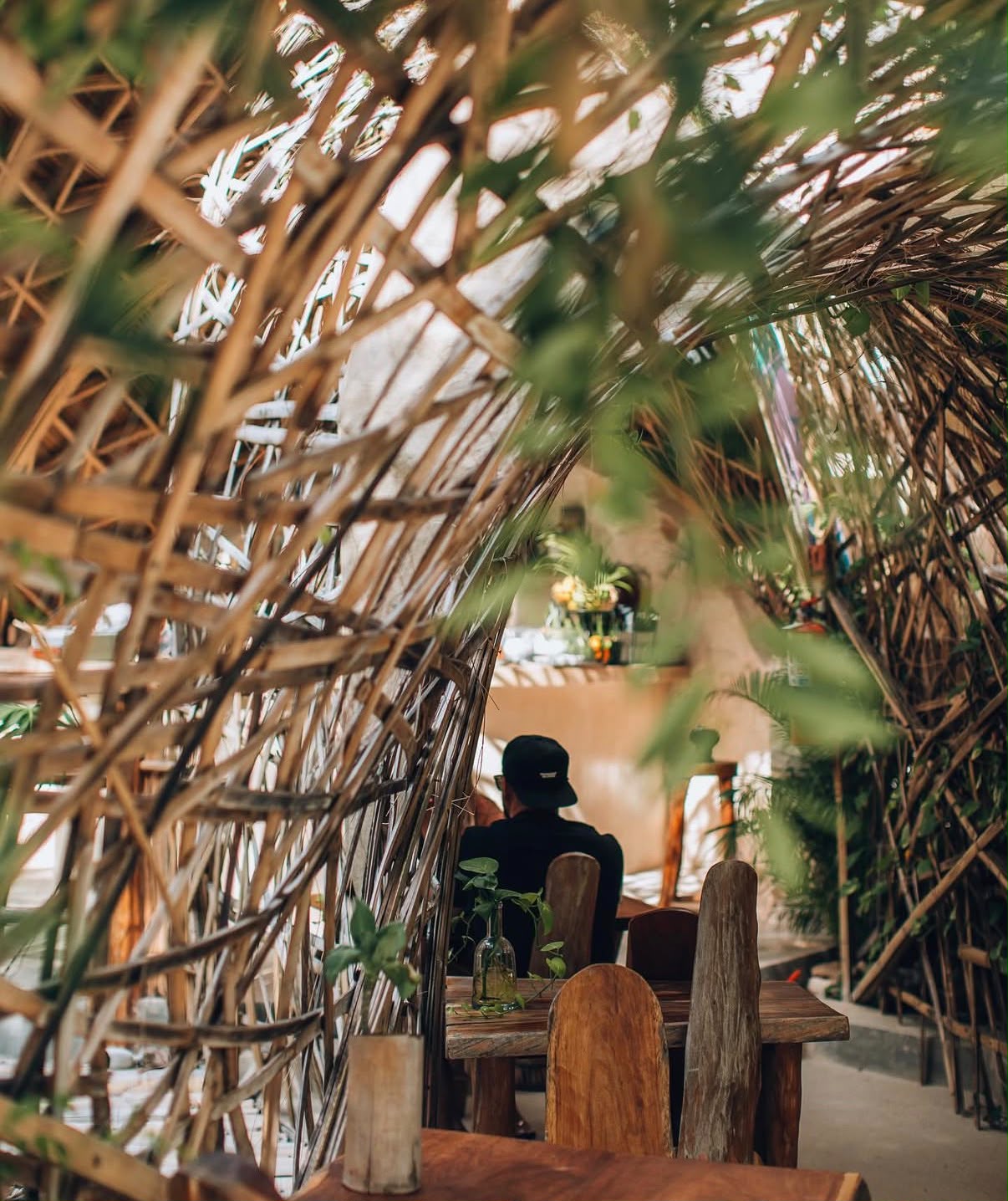 Dead Honest retreat experience, Tulum